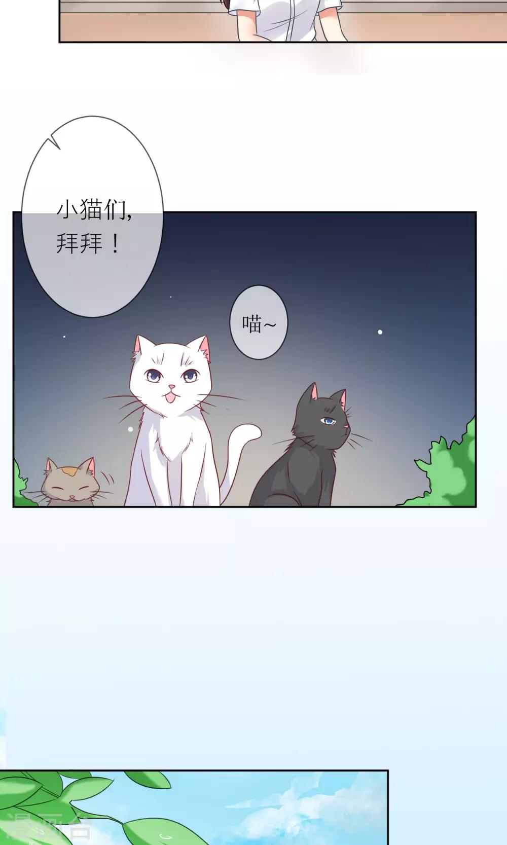 第3话 人间极乐是喵咪-第4话