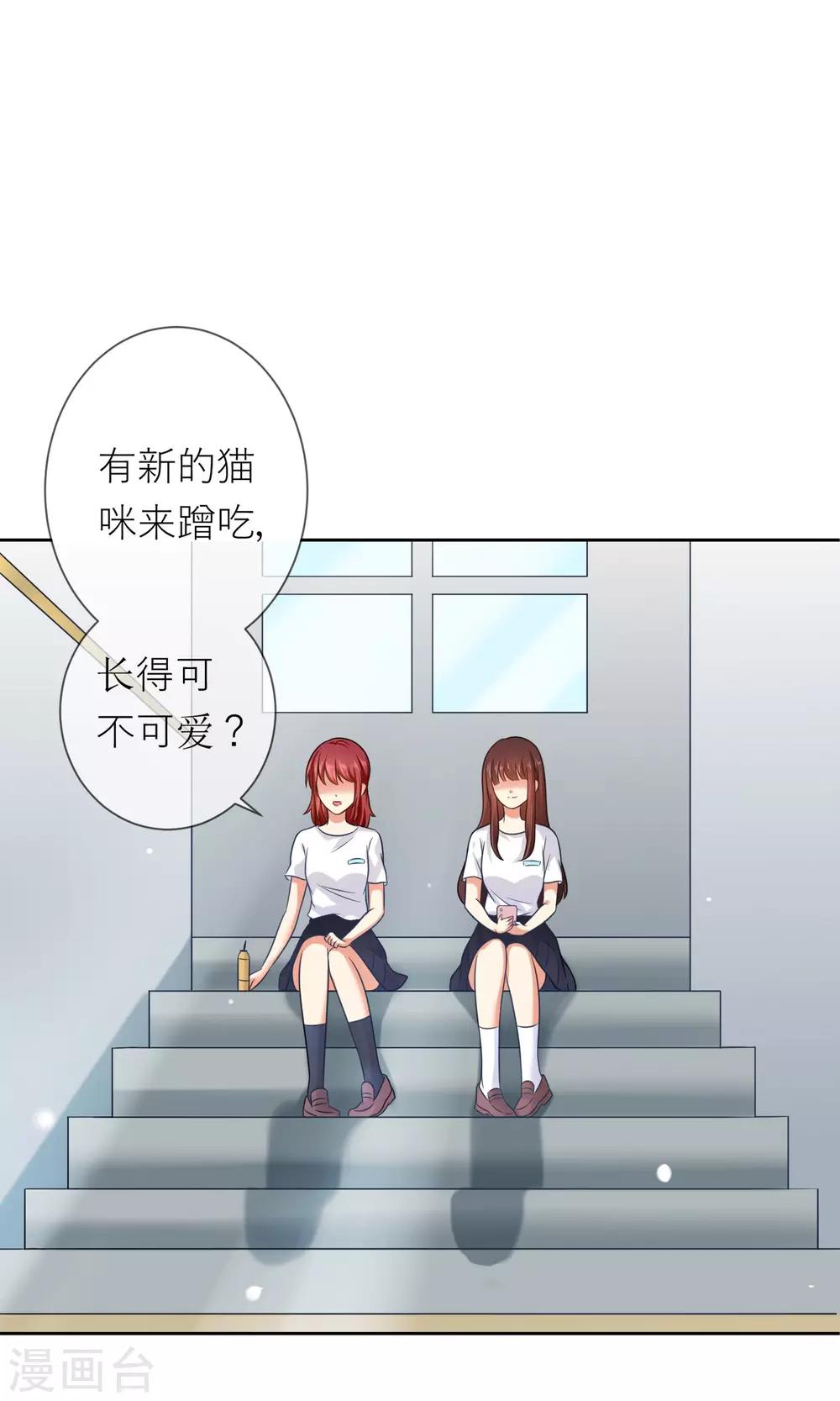 第3话 人间极乐是喵咪-第4话