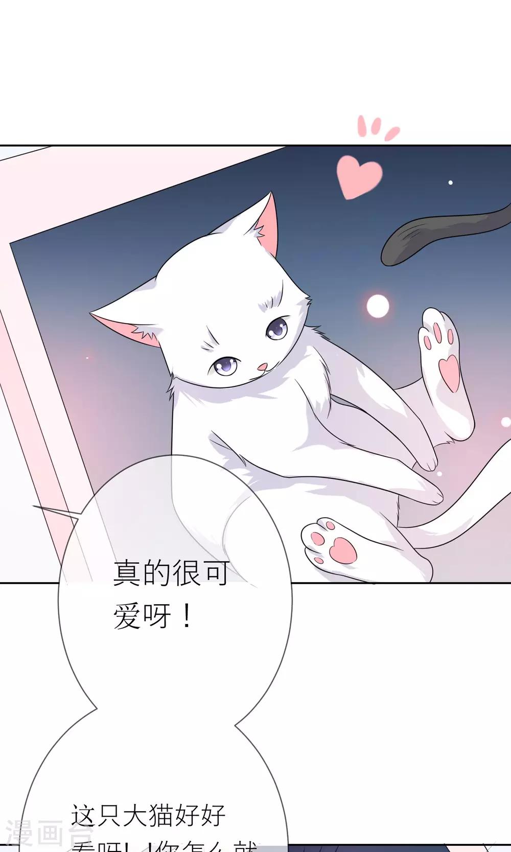 第3话 人间极乐是喵咪-第4话