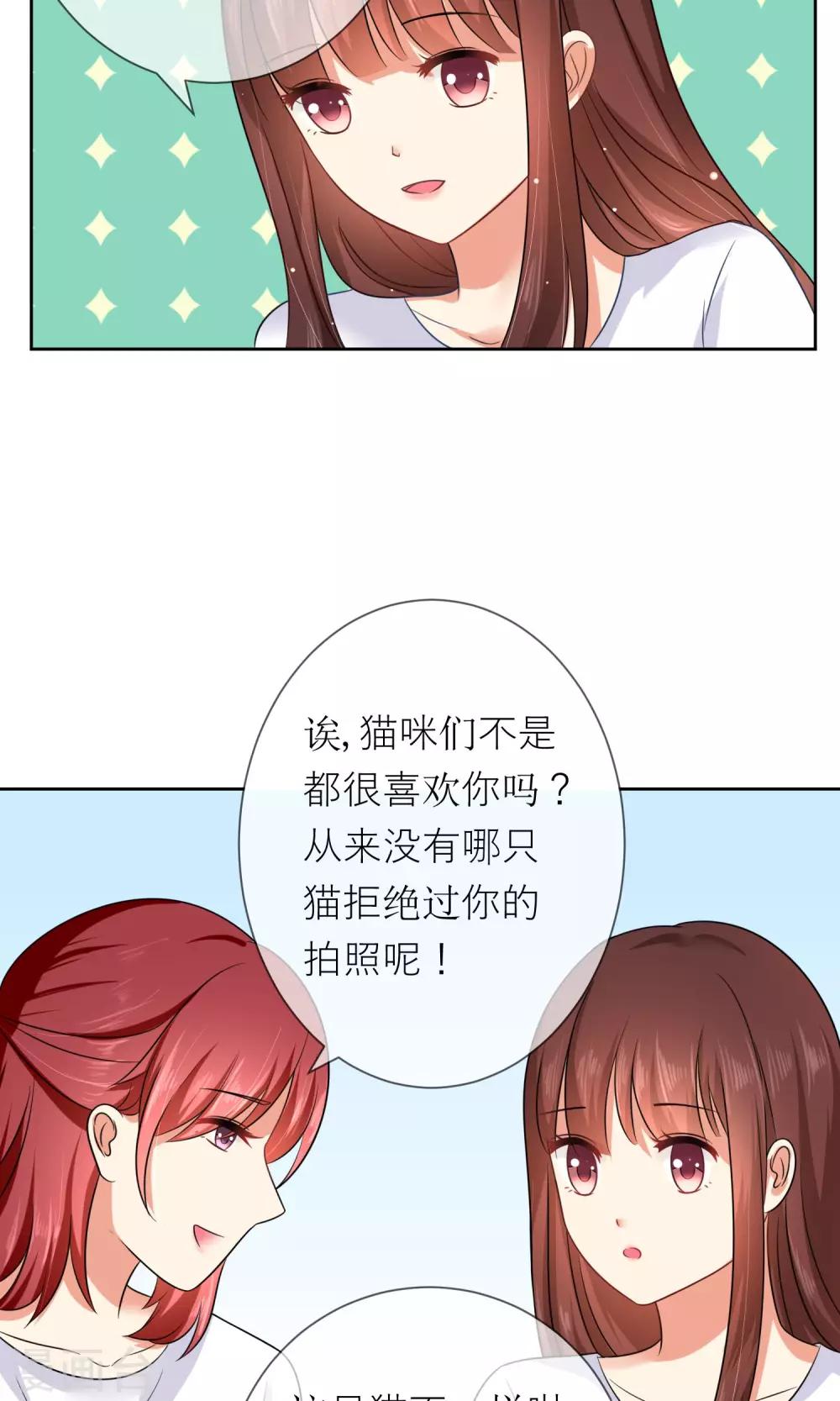 第3话 人间极乐是喵咪-第4话