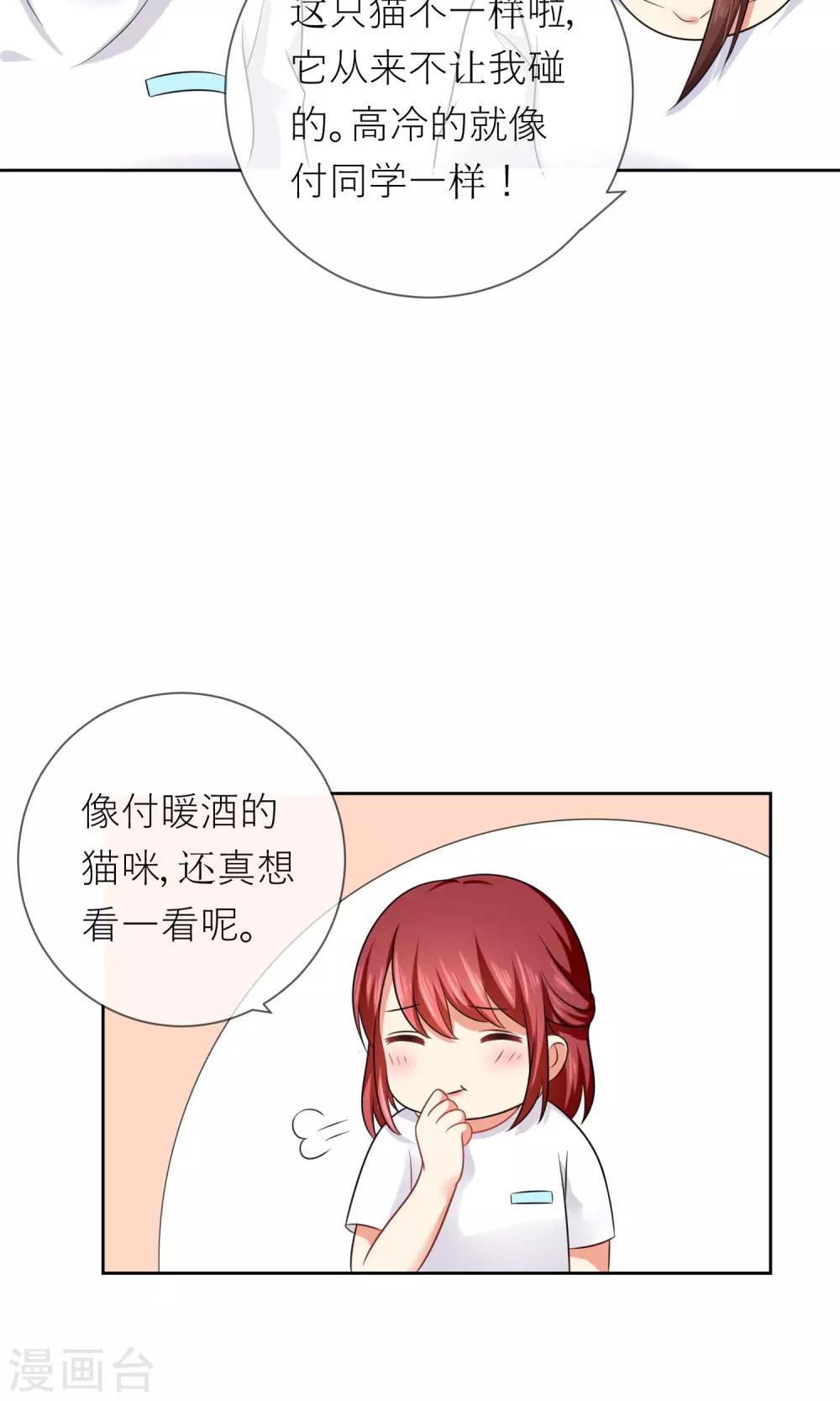 第3话 人间极乐是喵咪-第4话