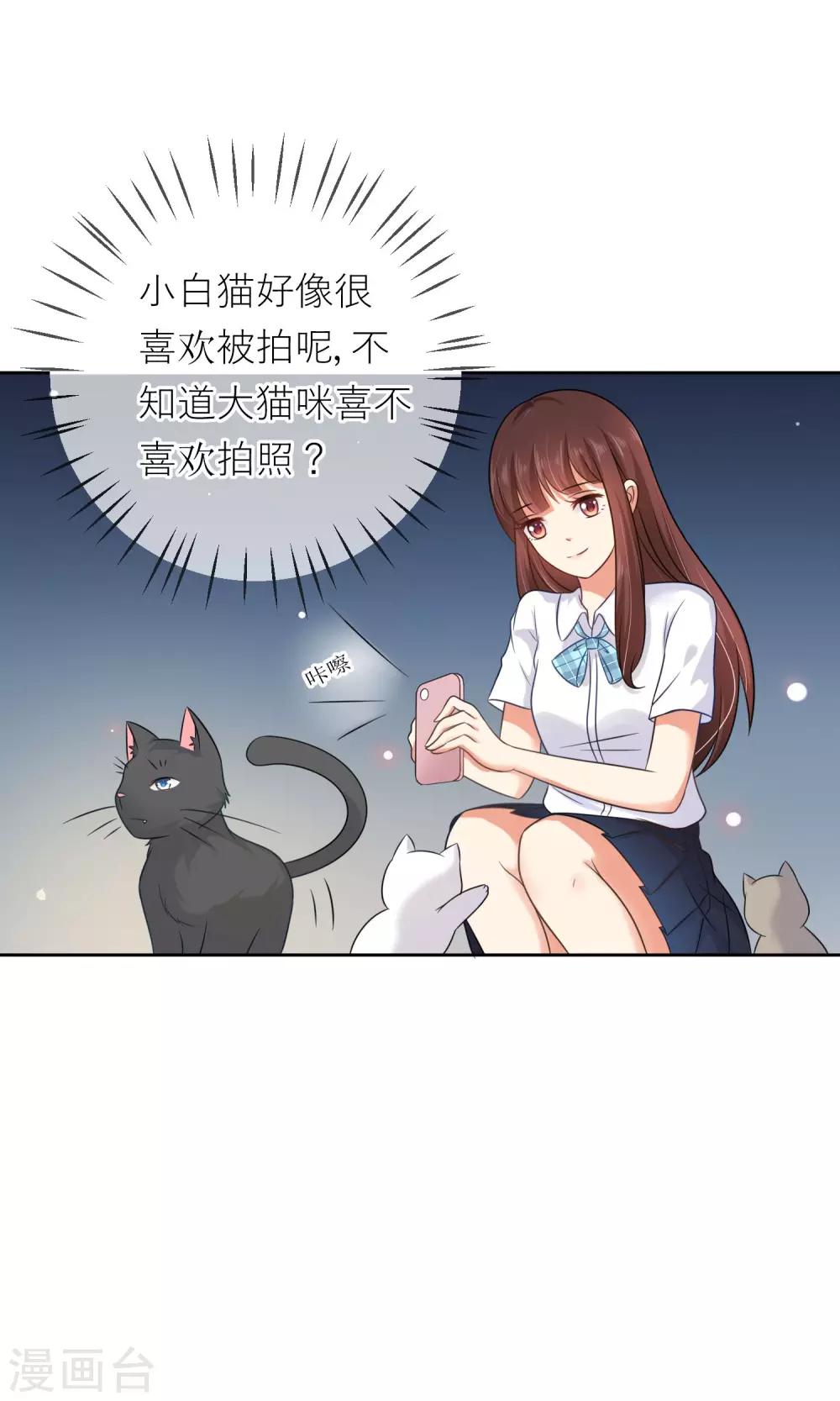 第3话 人间极乐是喵咪-第4话