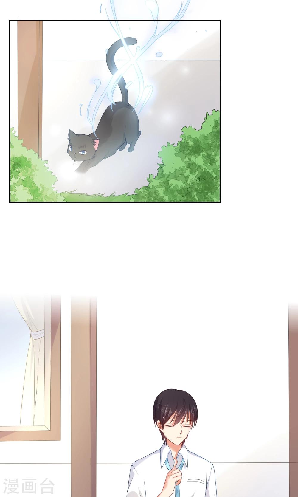 第7话 我要弄死这些猫-第8话
