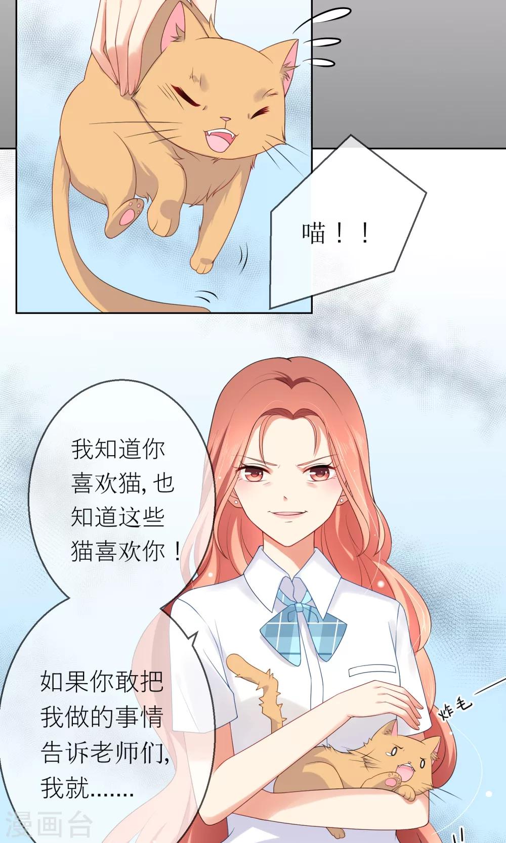 第7话 我要弄死这些猫-第8话