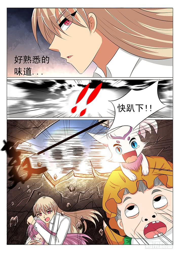 第三十六话 毒蜈!-第36话
