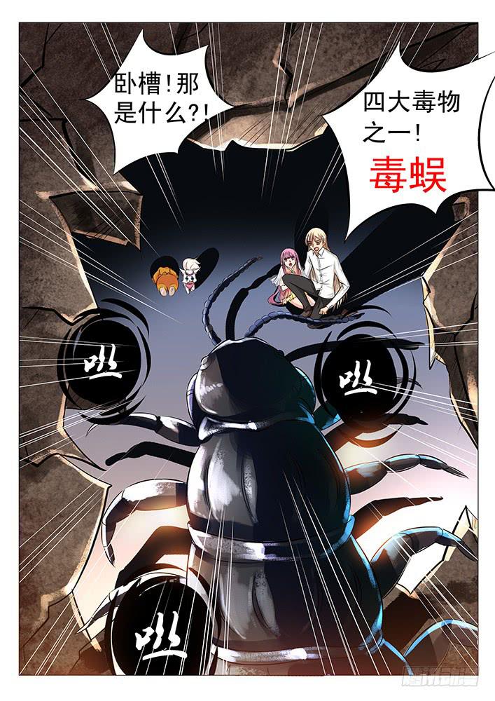 第三十六话 毒蜈!-第36话