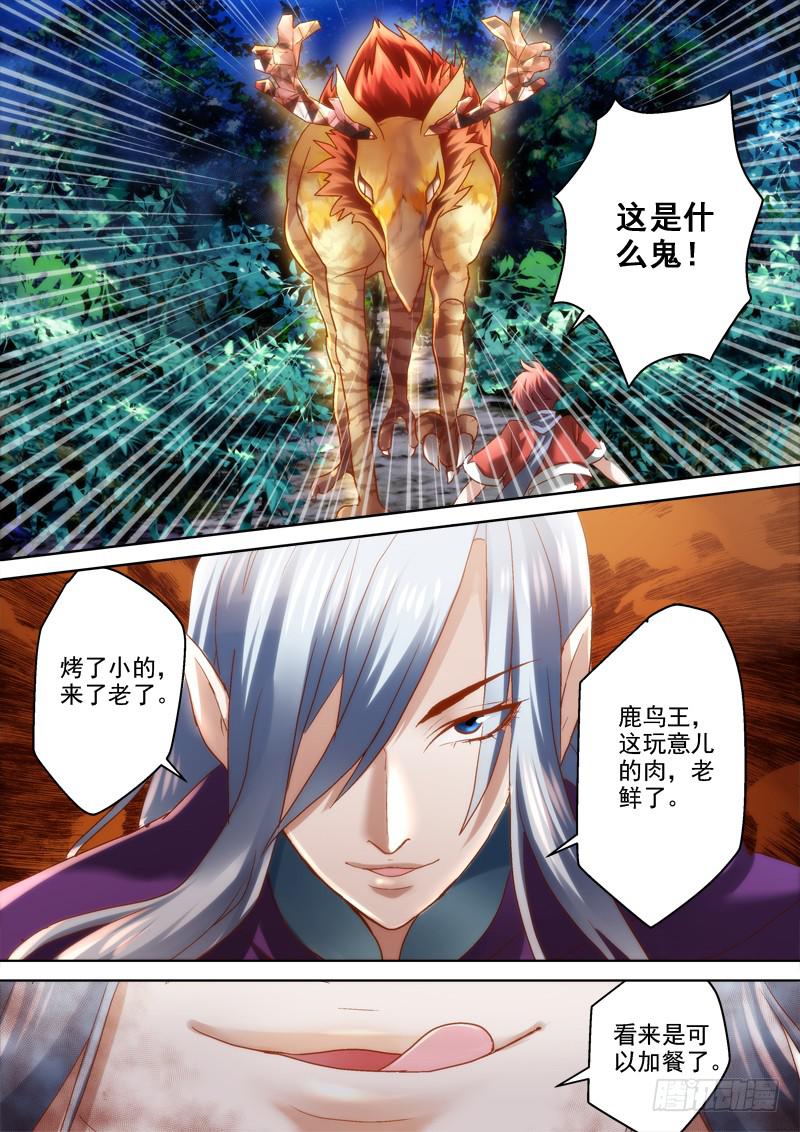 第六金 舌尖上的大森林-第6话
