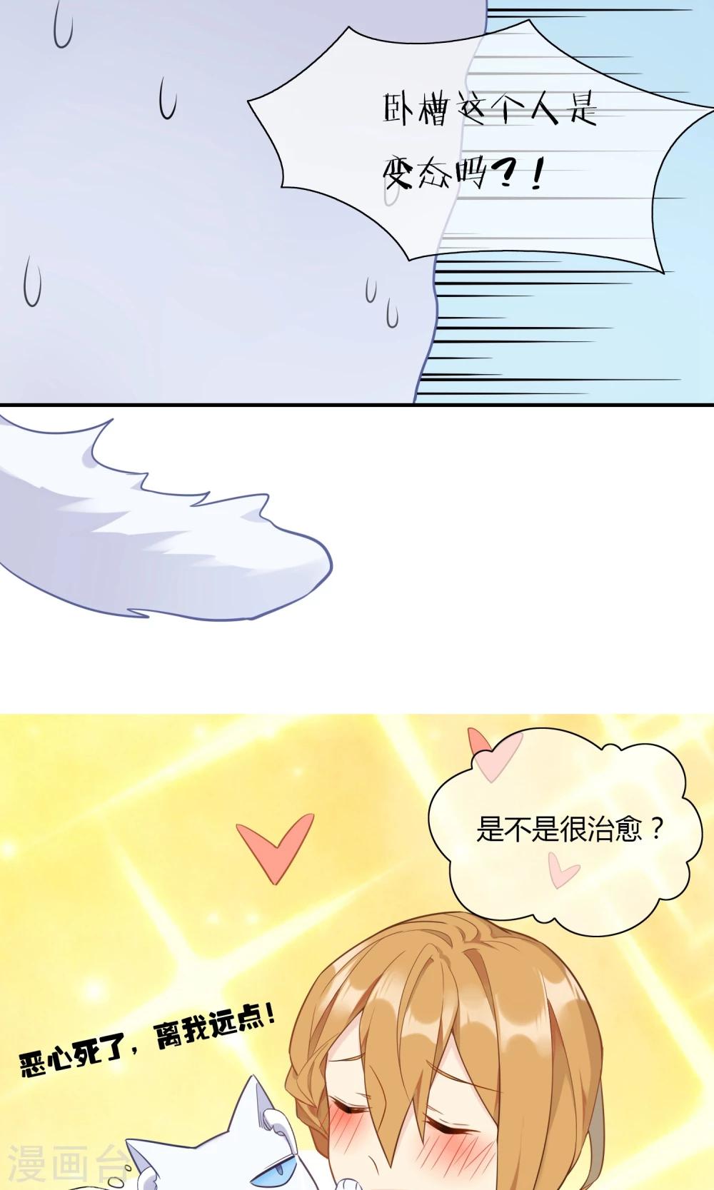 第9话 我家的猫咪会说话？！-第10话
