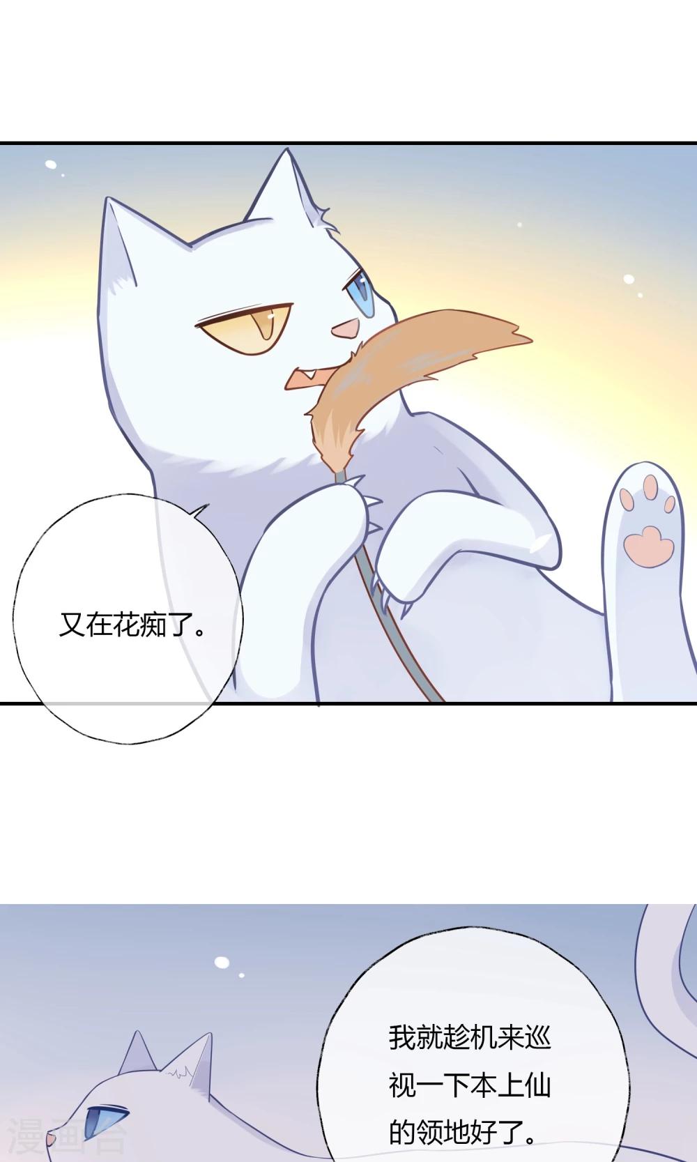 第9话 我家的猫咪会说话？！-第10话