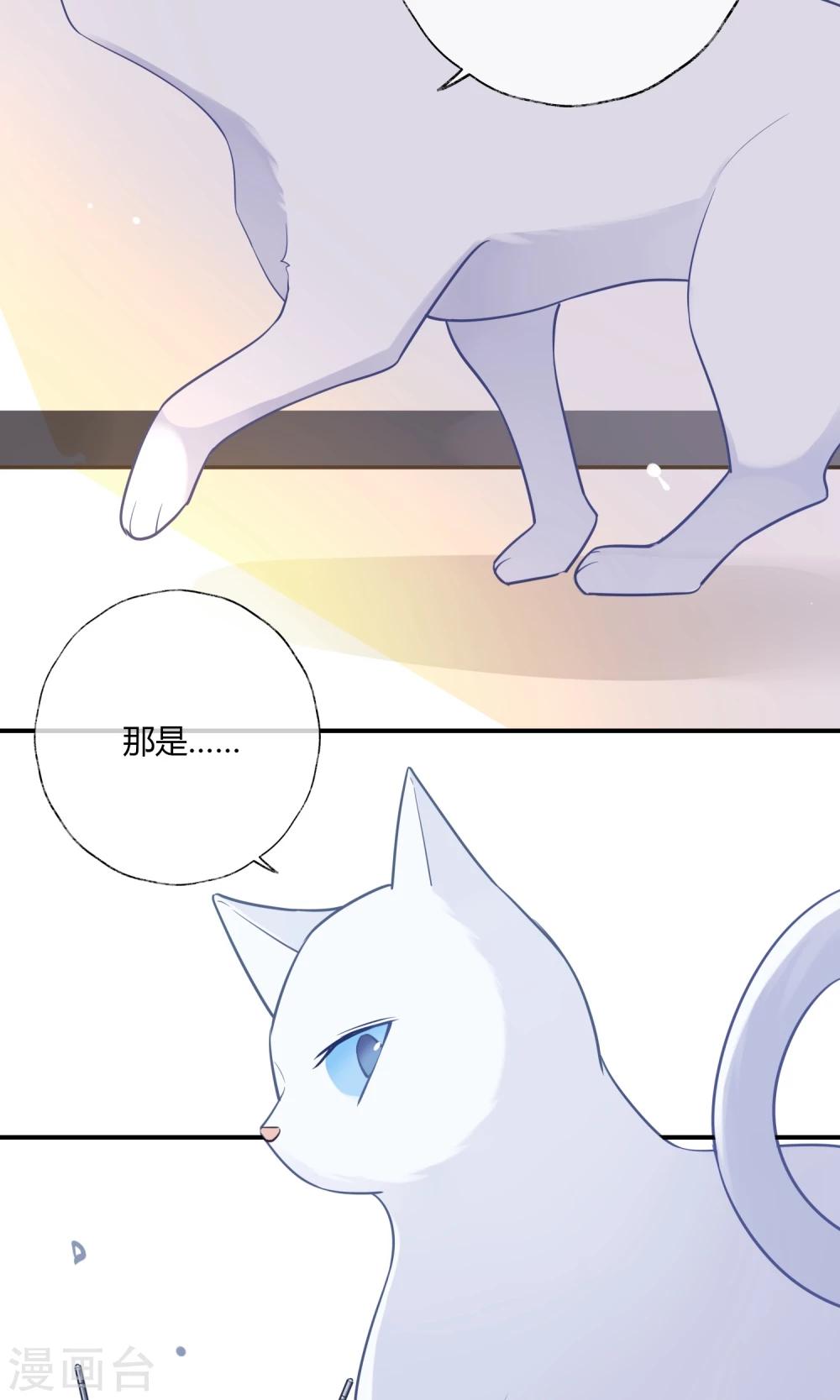 第9话 我家的猫咪会说话？！-第10话