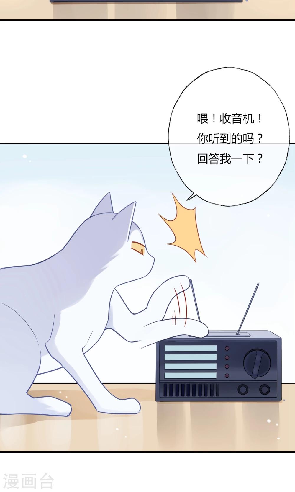 第9话 我家的猫咪会说话？！-第10话