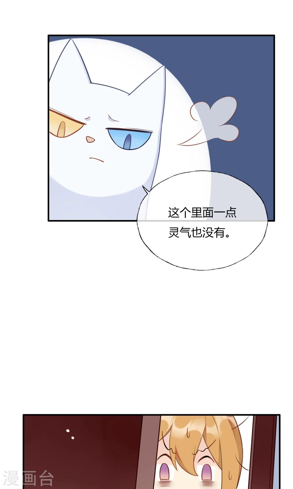 第9话 我家的猫咪会说话？！-第10话