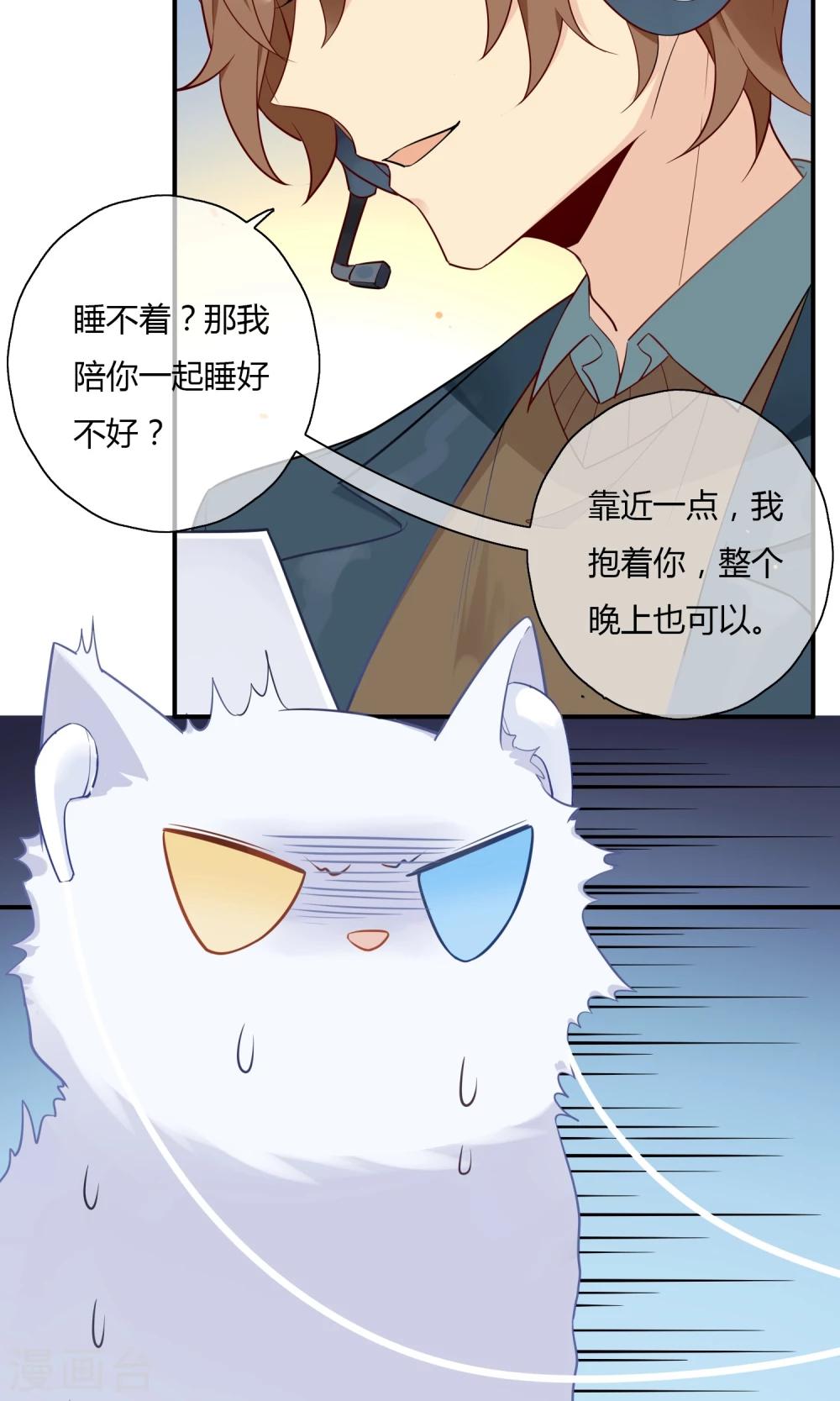 第9话 我家的猫咪会说话？！-第10话
