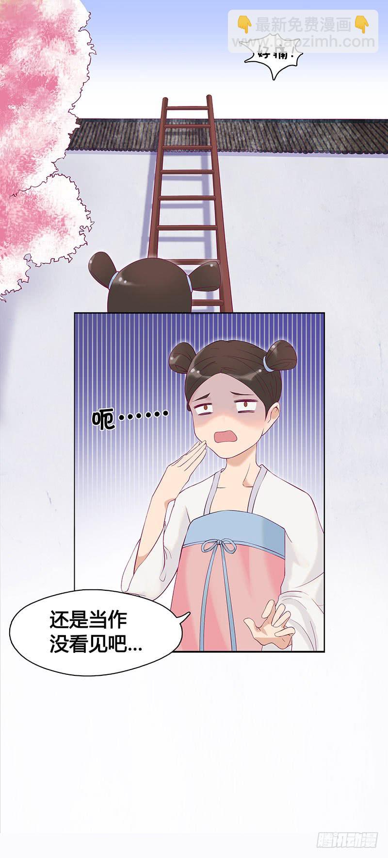 小姐，曹公子又来提亲了！(1/2)-第2话