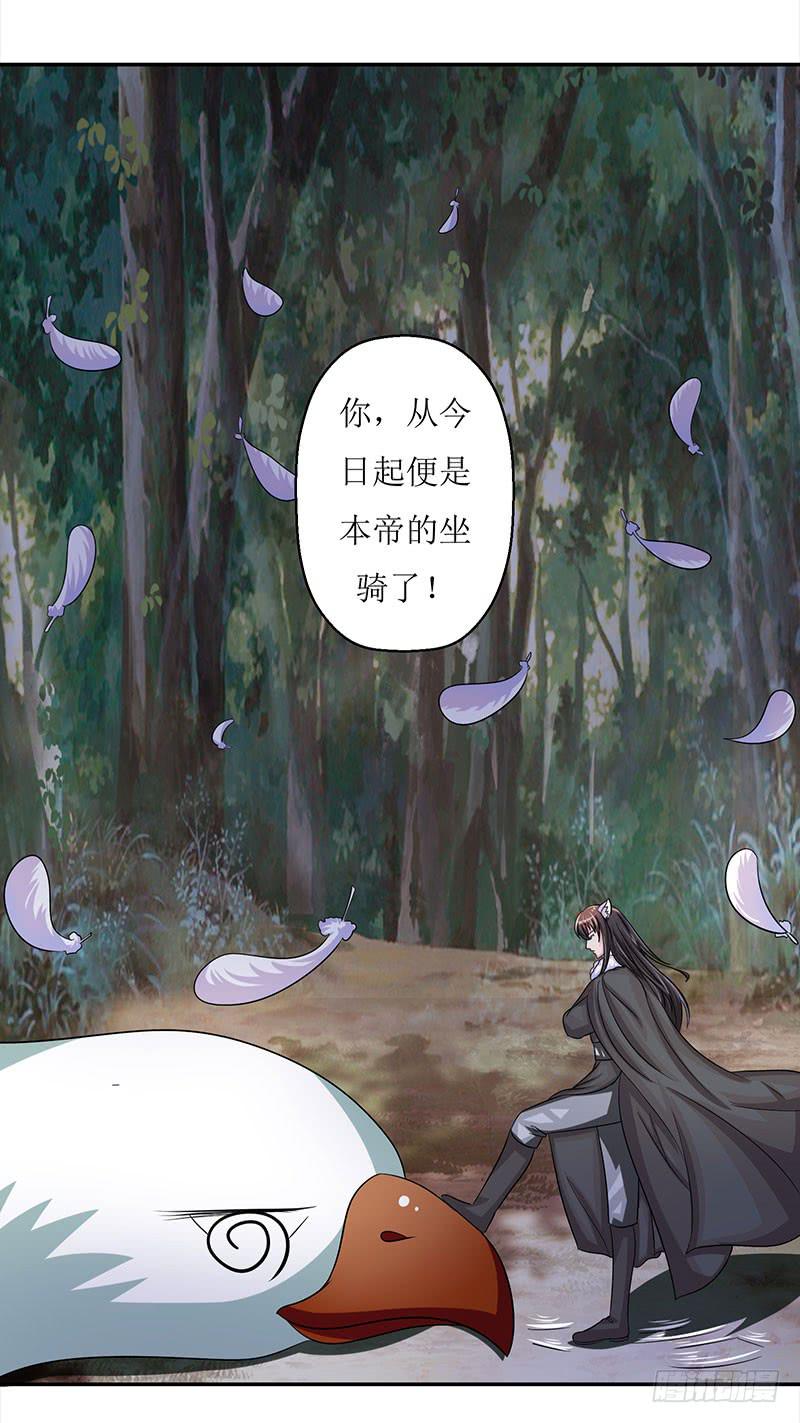 这是霸道总裁扔上床的节奏？-第48话
