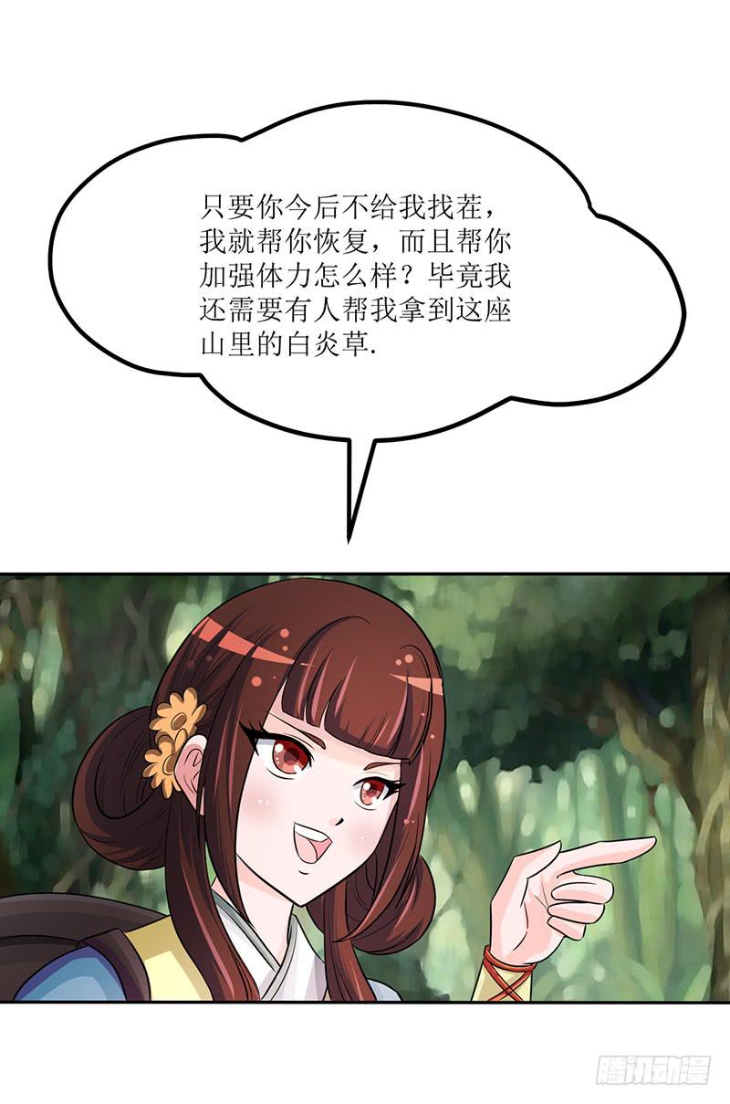 神奇的草药 它的功效是...-第54话