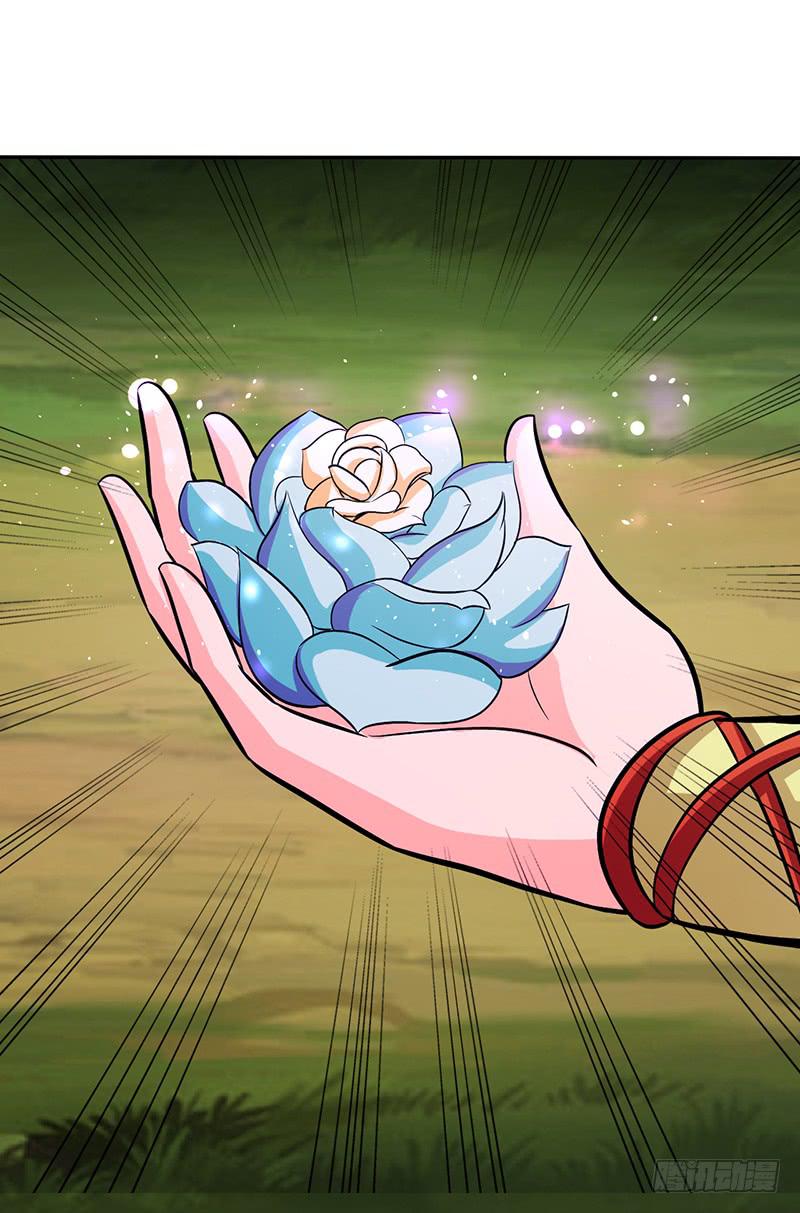 神奇的草药 它的功效是...-第54话