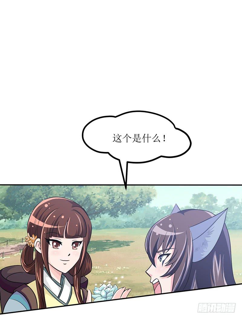 神奇的草药 它的功效是...-第54话