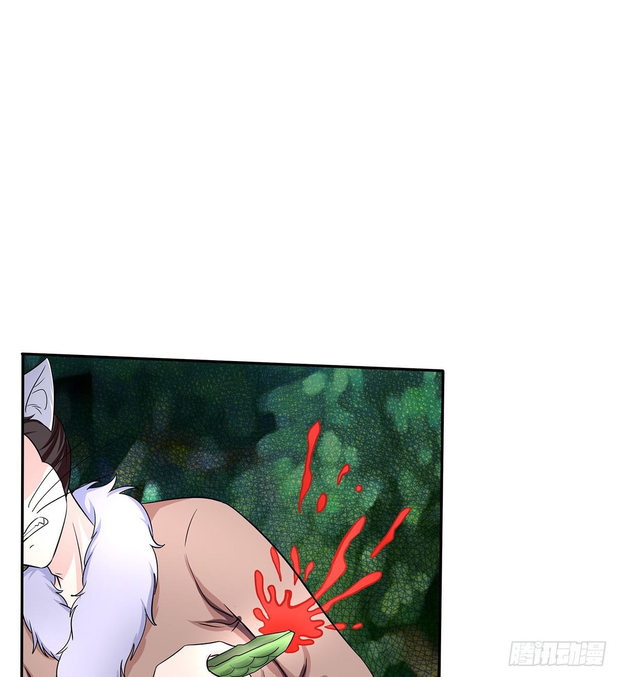 猫妖的恶我要觉醒了(1/2)-第70话