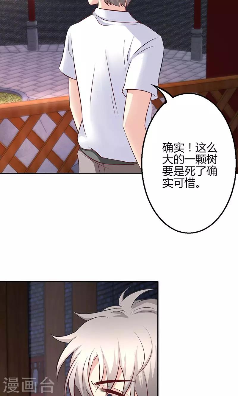 🍱圣医重生计划 第75话 第4页