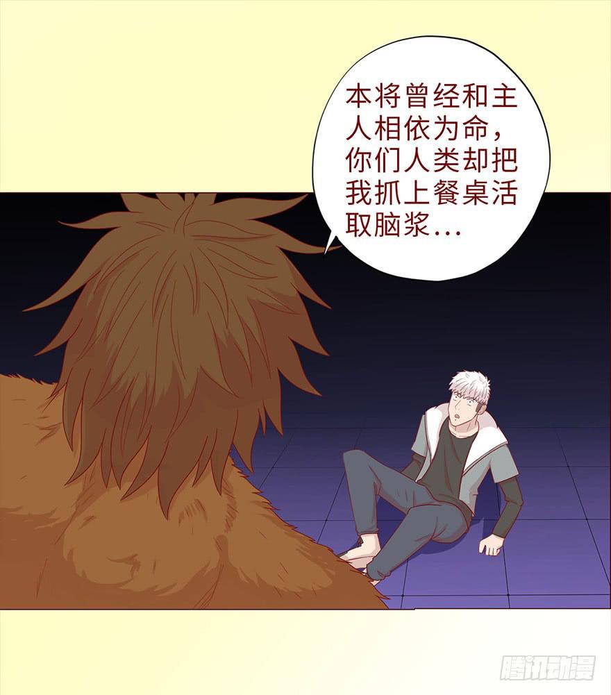 044骗局（上）(1/2)-第80话