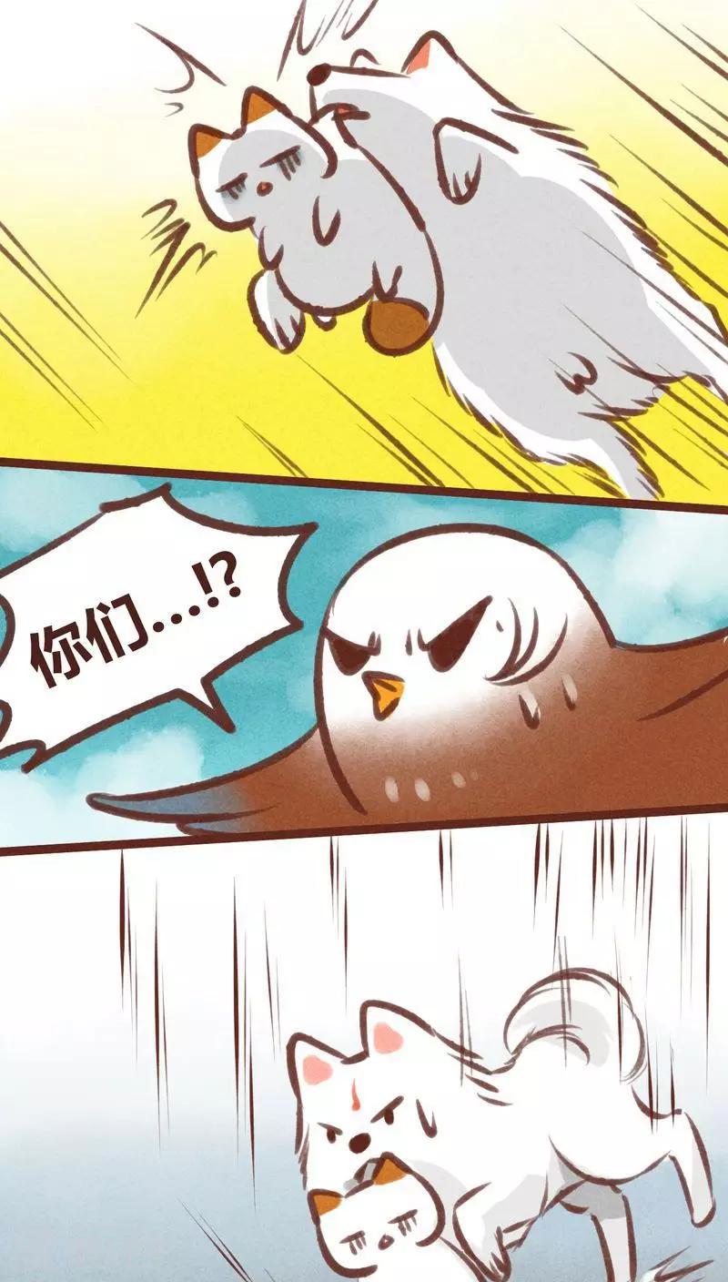 第20话-第20话