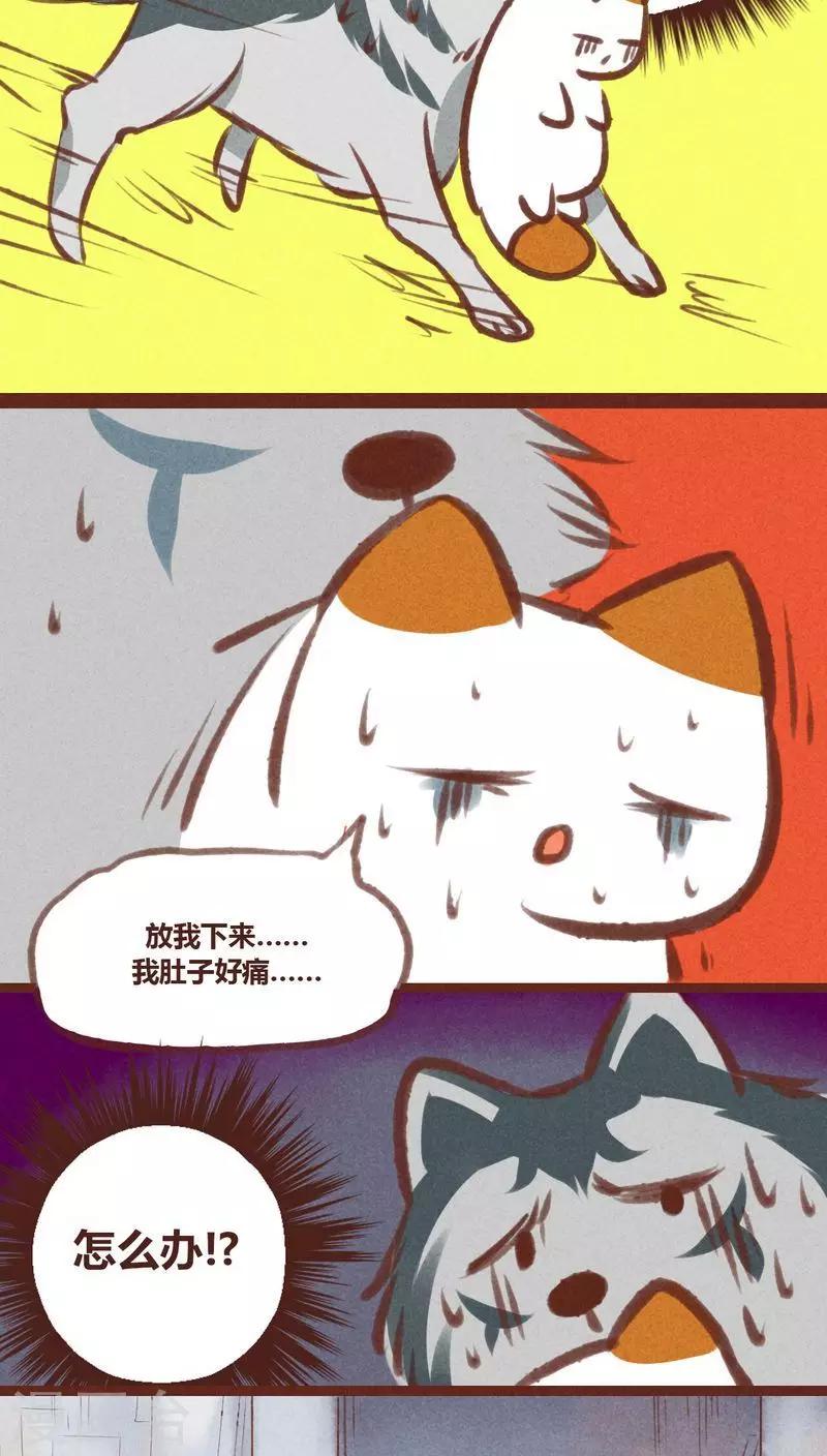 第20话-第20话