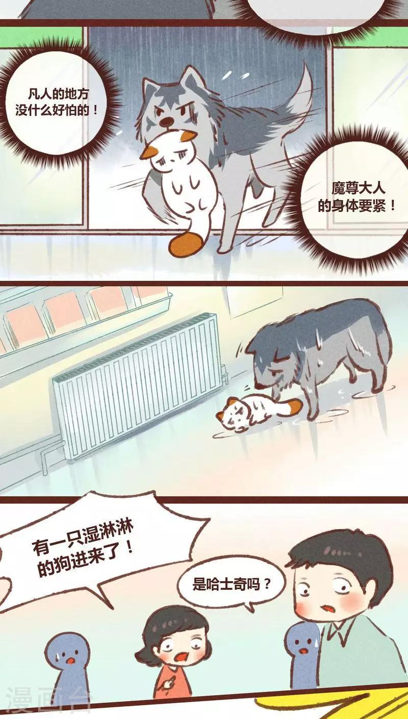 第20话-第20话