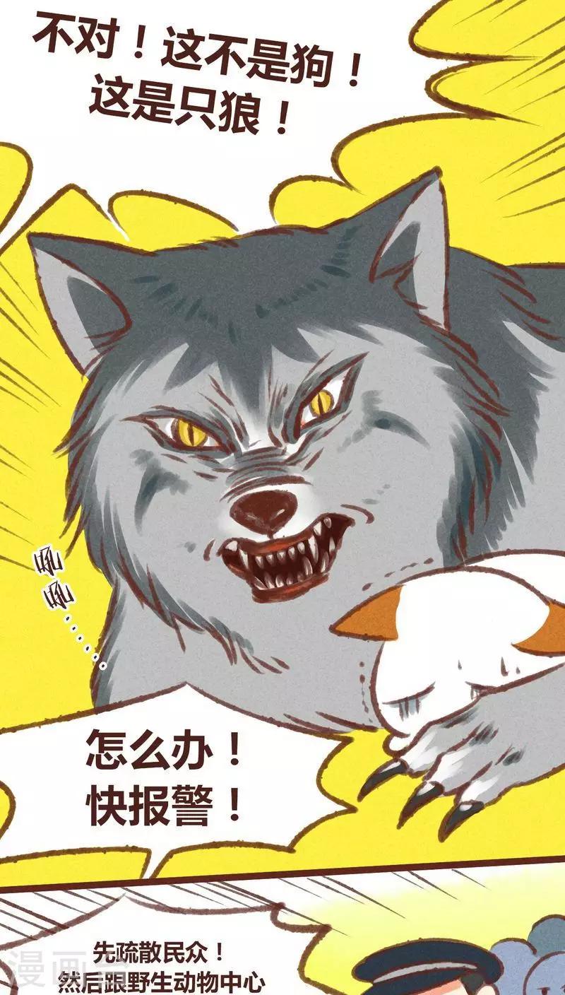 第20话-第20话