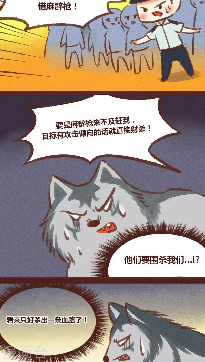 第20话-第20话