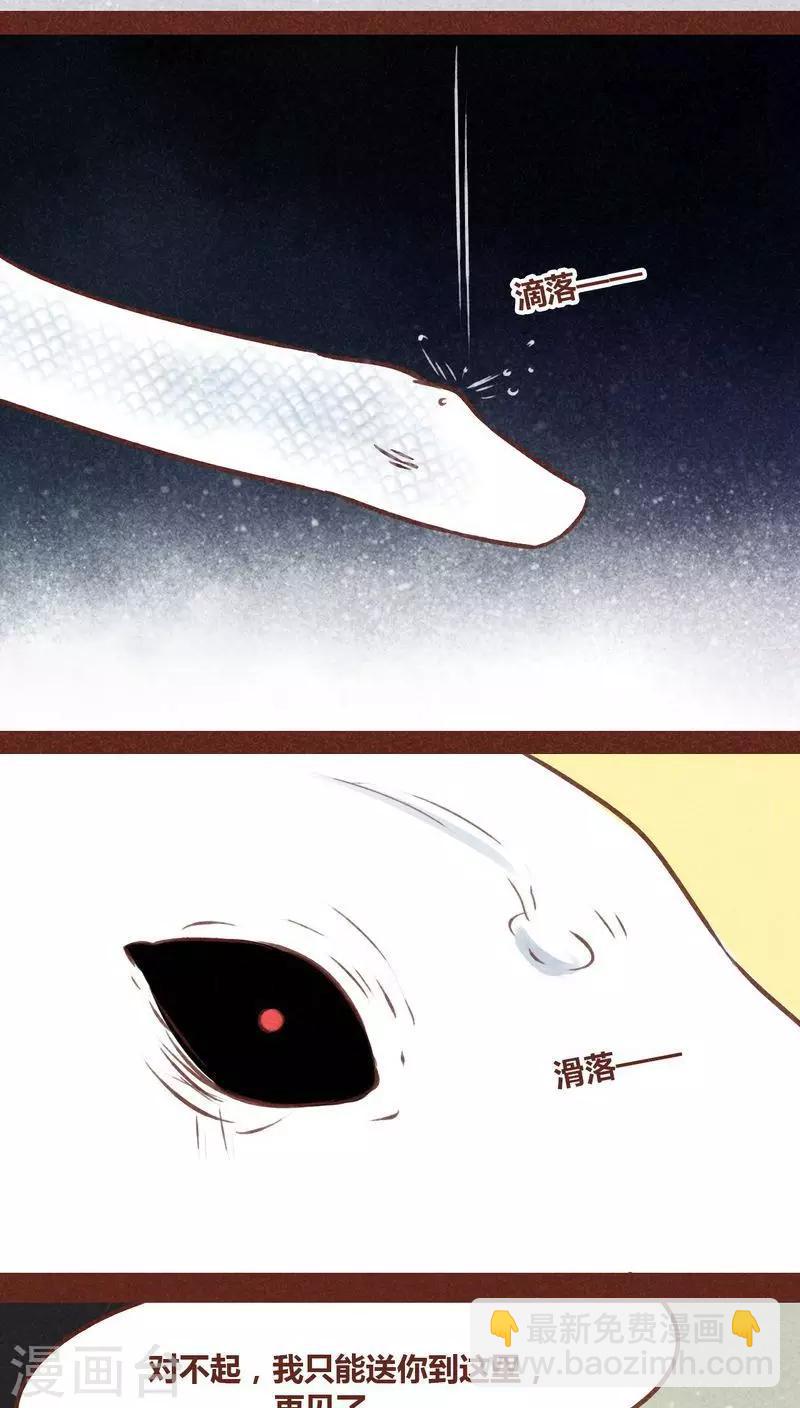 第71话 走马灯（下）(1/2)-第72话