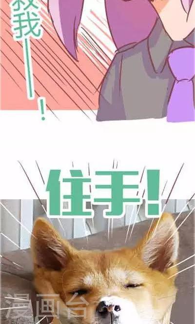 番外2 造粪机中队-第2话
