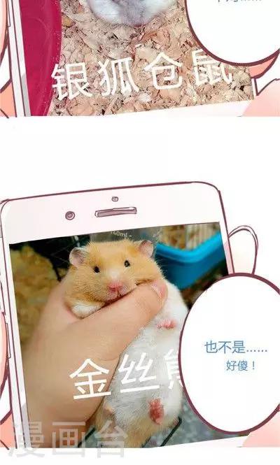 第8话1 仓鼠篇-第30话