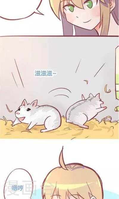 第8话3 仓鼠篇-第32话