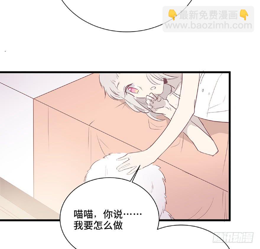 第五话(1/2)-第6话