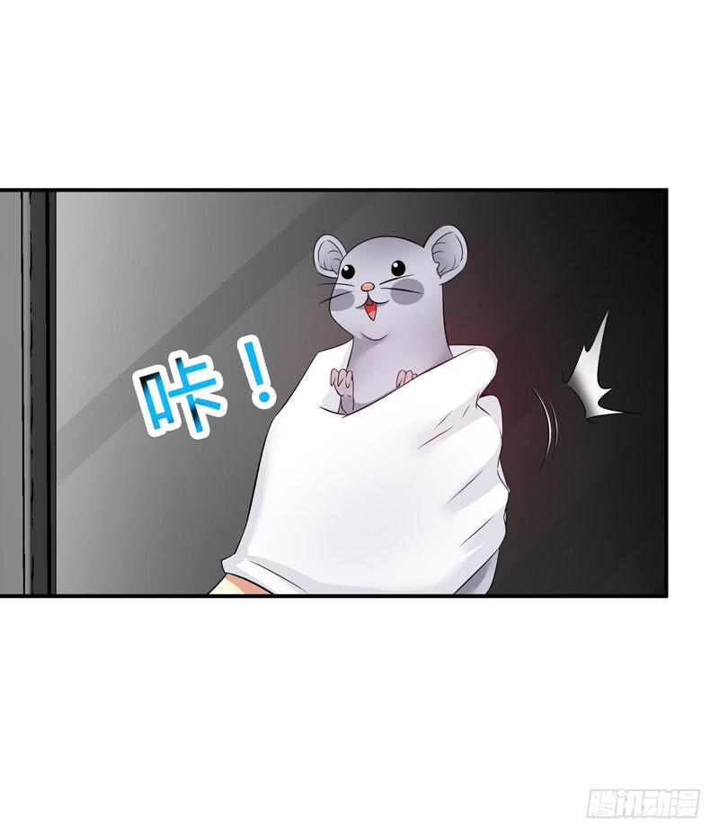 老鼠来袭(1/2)-第20话