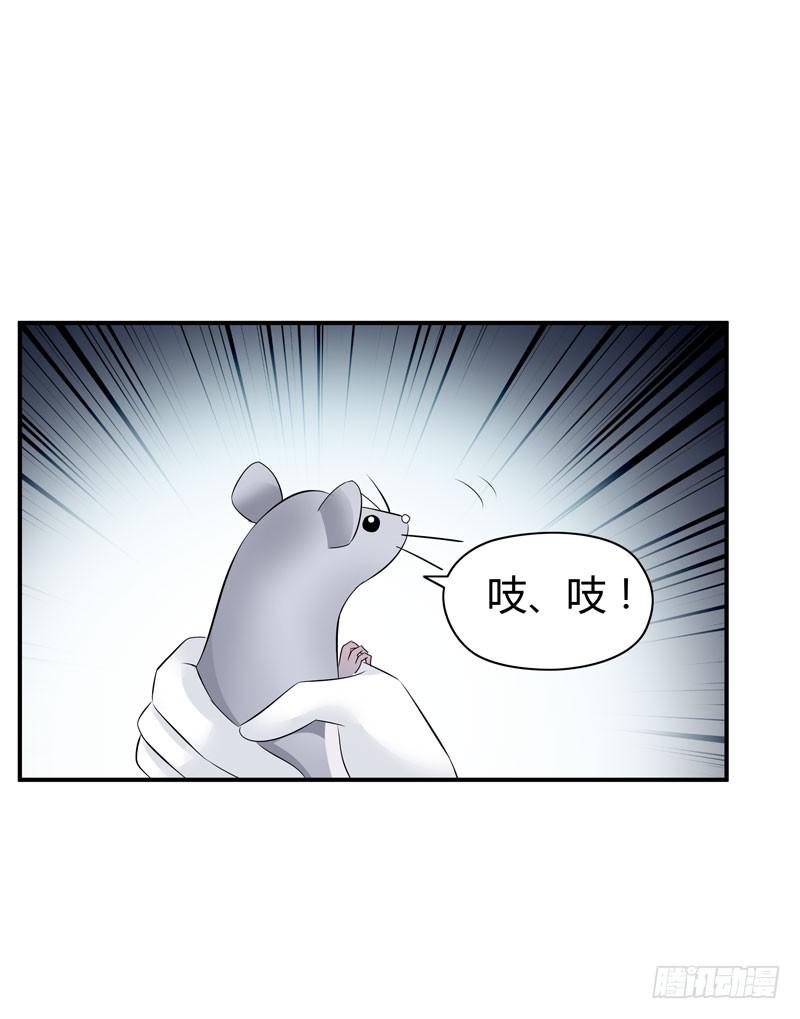 老鼠来袭(1/2)-第20话