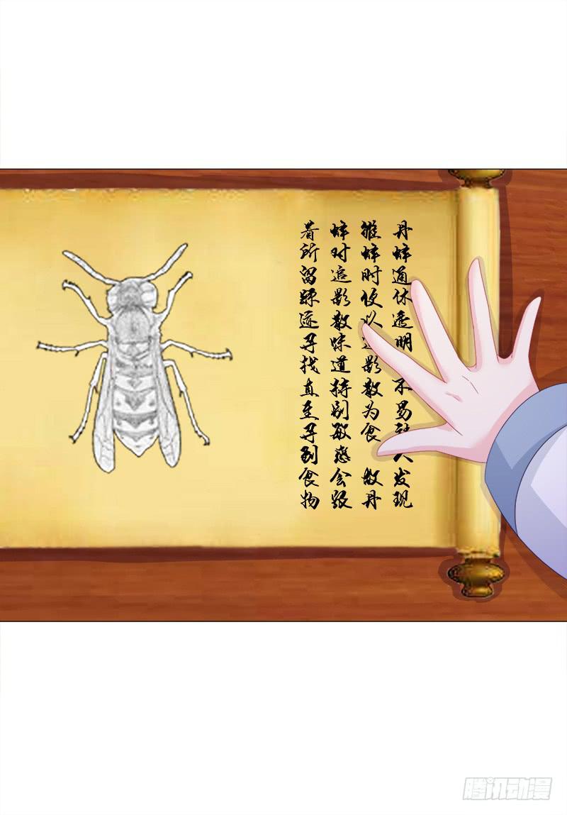34、丹蜂觅踪-第34话