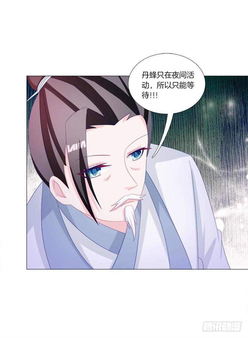34、丹蜂觅踪-第34话