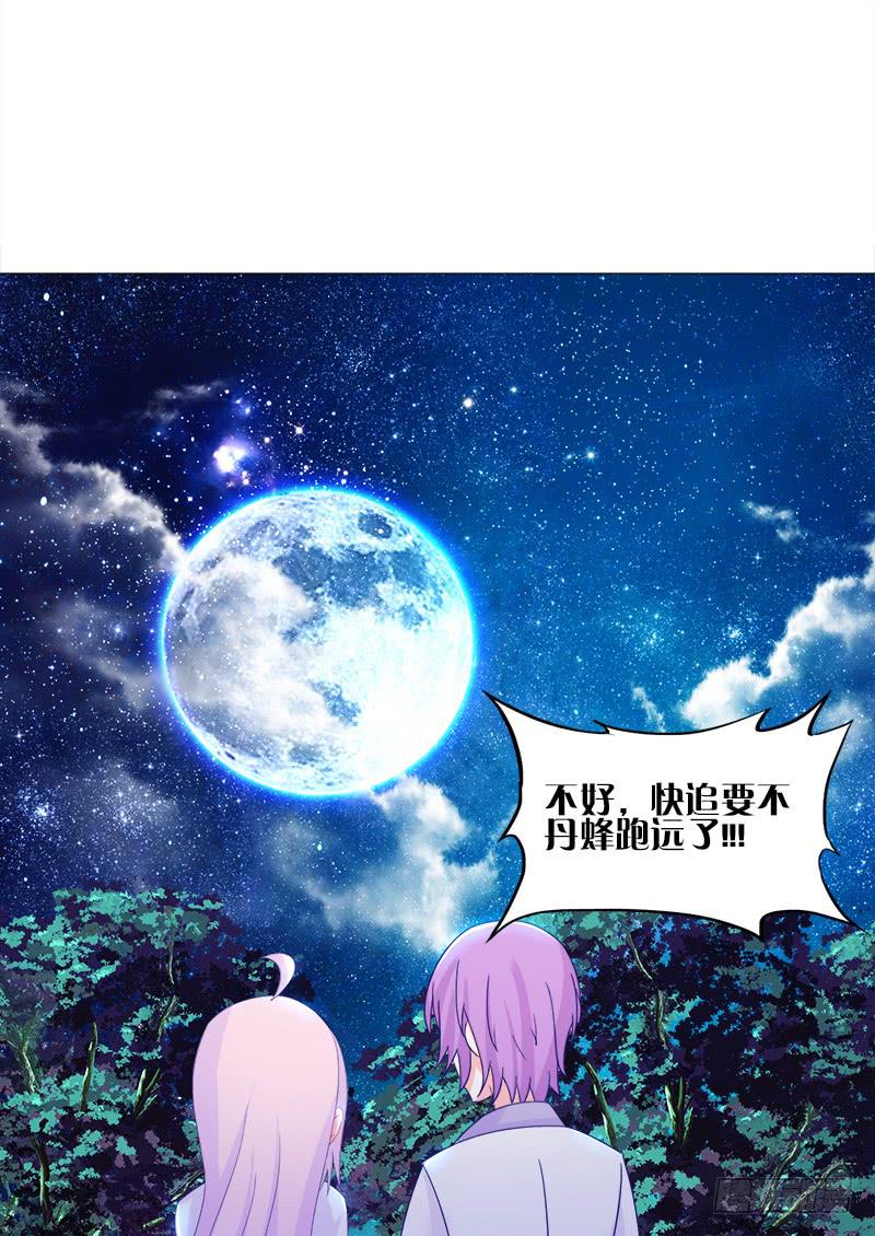 34、丹蜂觅踪-第34话