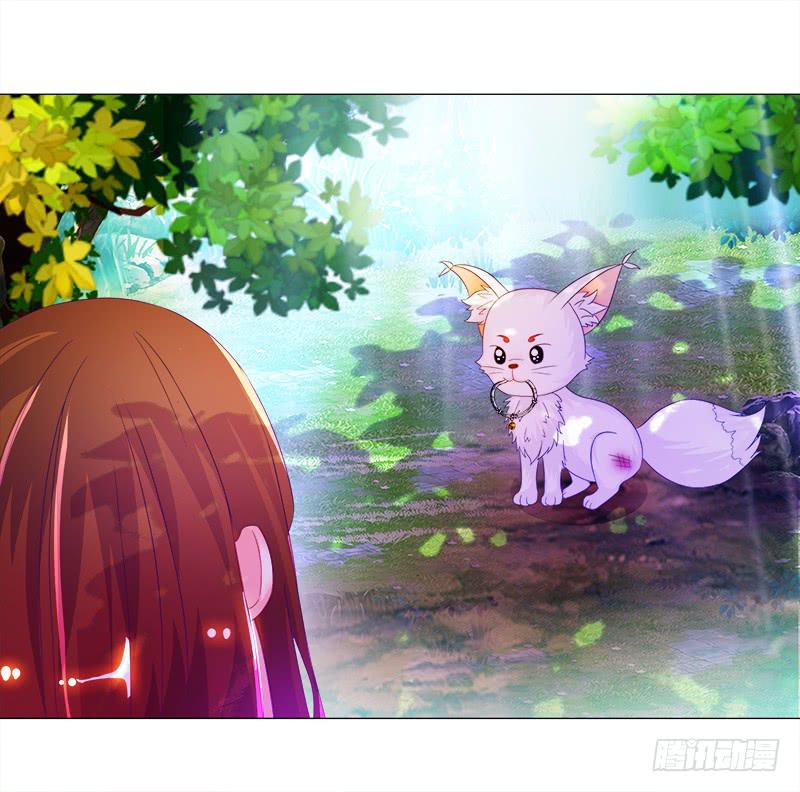6、小狐狸-第6话