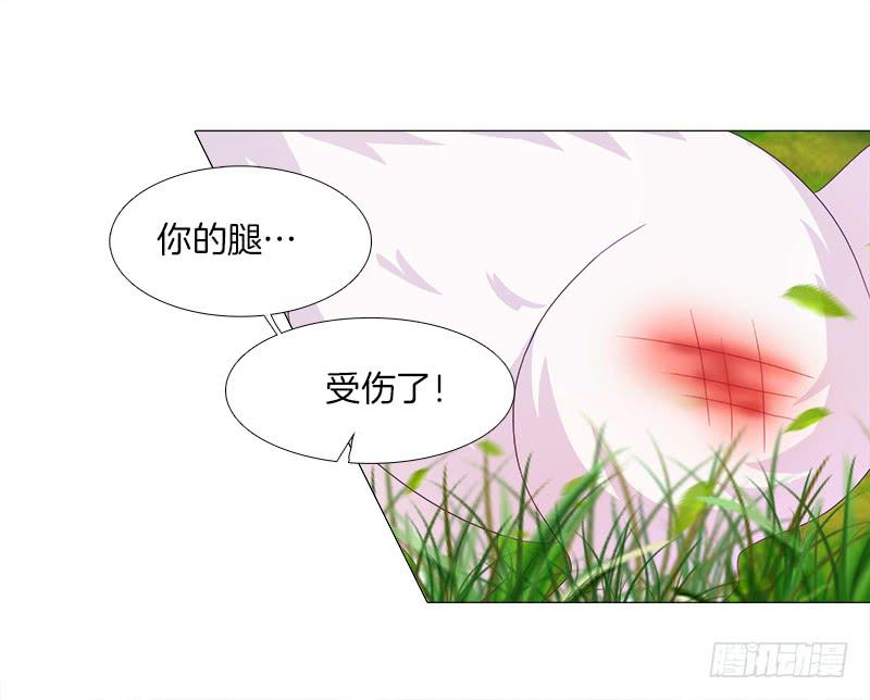 6、小狐狸-第6话