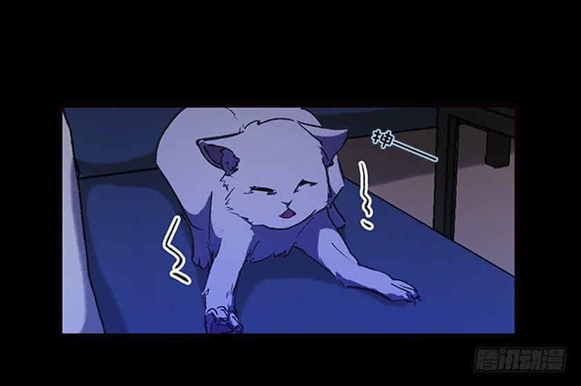 【031猫眼】(1/2)-第40话