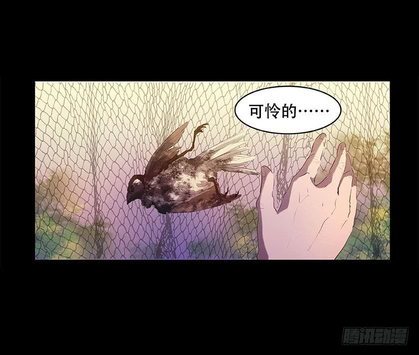 【番外014鸟尸】-第54话