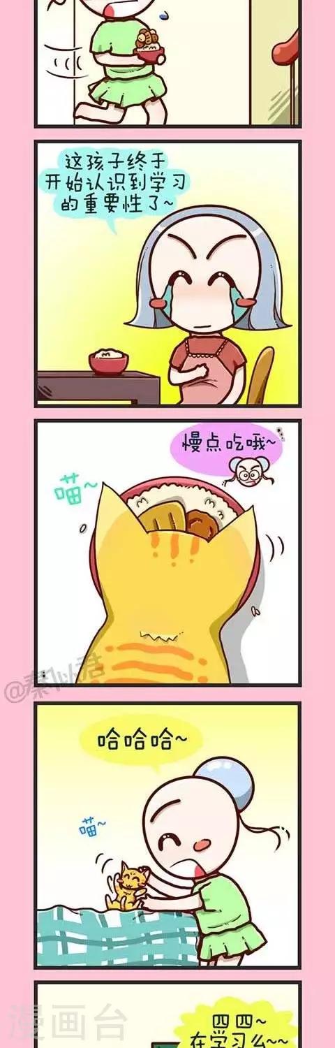 第2话  小猫-第2话