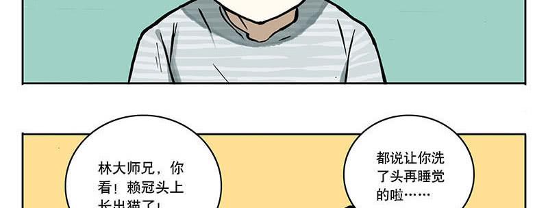21 喵来了-第20话