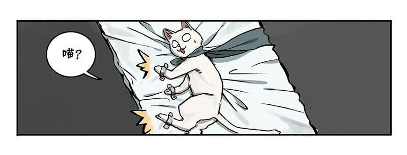 23 猫咪绝育-第22话