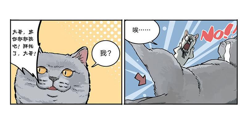 23 猫咪绝育-第22话