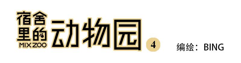 04 我想静静-第4话