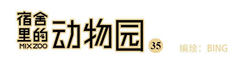 34 家事-第34话